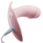 Remote Control Vibrating Dildo Sex Toy Women's - 10 Speed with Heating
